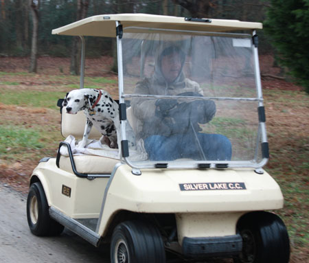 2 travis cart